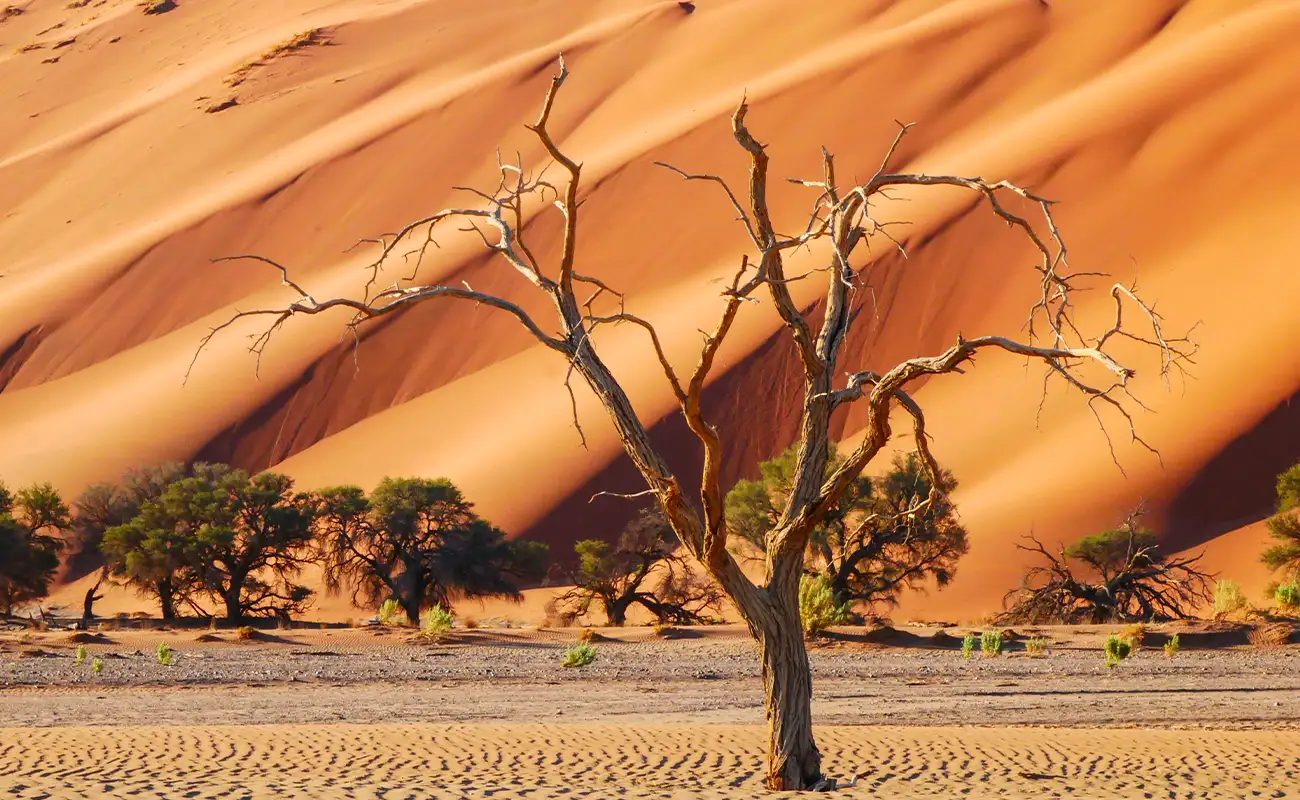 Dune 45 – Namib-Naukluft-Nationalpark in Namibia