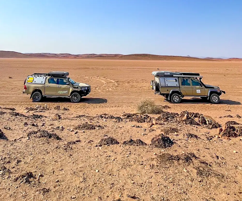 Geführte Safari-Tour durch das Kaokoland Geführte Safari-Tour durch das Kaokoland