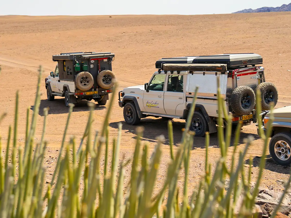 Geführte Safari-Tour durch das Kaokoland Geführte Safari-Tour durch das Kaokoland