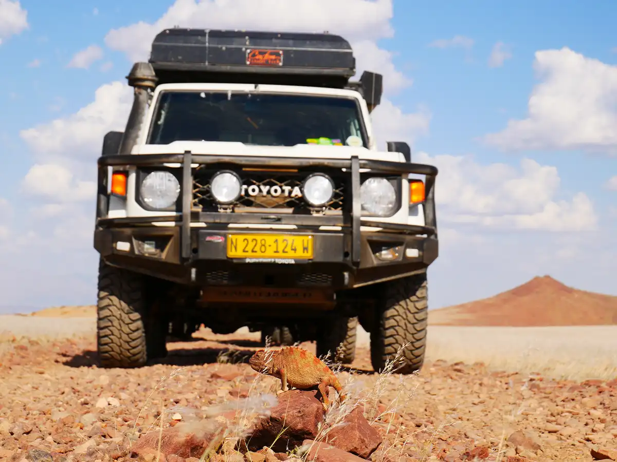 Geführte Safari-Tour durch das Kaokoland Geführte Safari-Tour durch das Kaokoland
