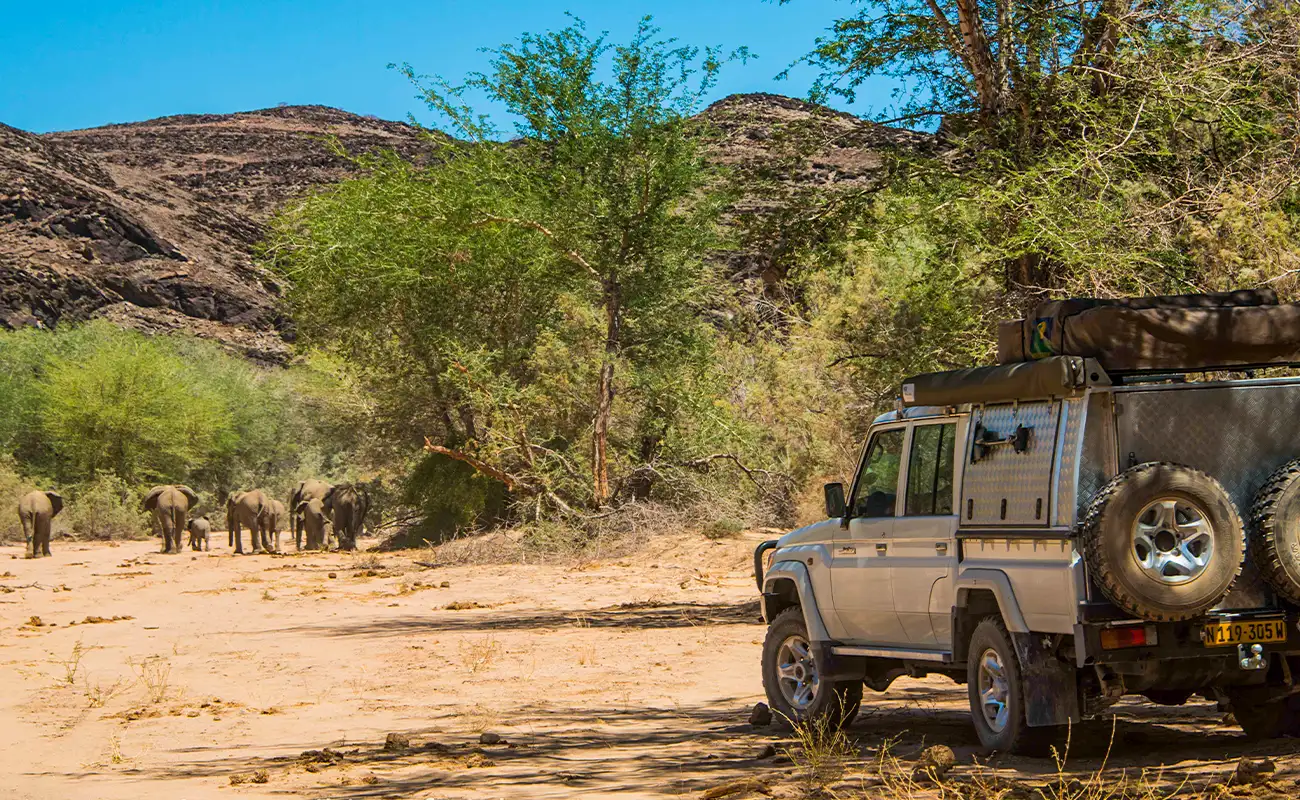 Meine Namibia-Safaris – Mietwagen in Namibia auf der Suche nach Elefanten