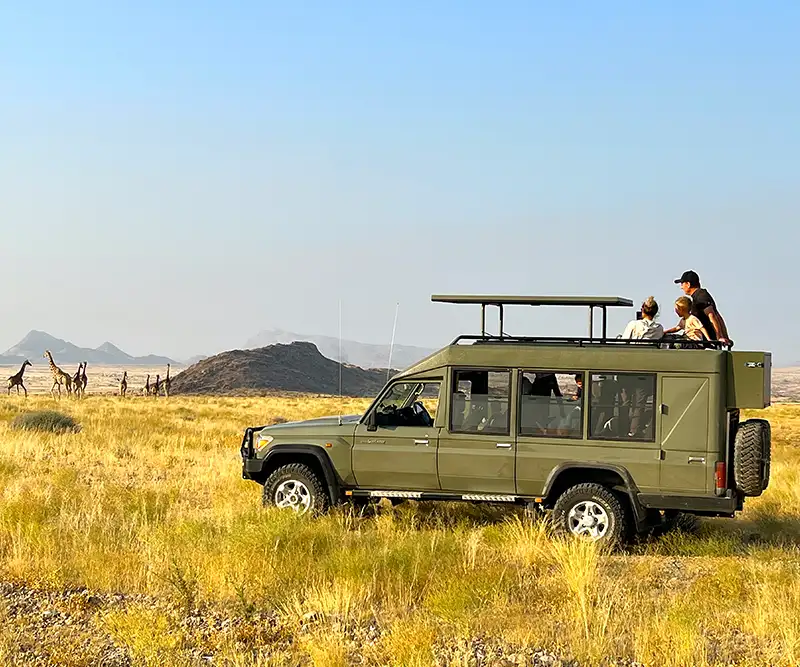 Reisende in einem privat geführten, verlängerten Landcruiser in der Savanne bei der Beobachtung von Giraffen Reisende in einem privat geführten, verlängerten Landcruiser in der Savanne bei der Beobachtung von Giraffen